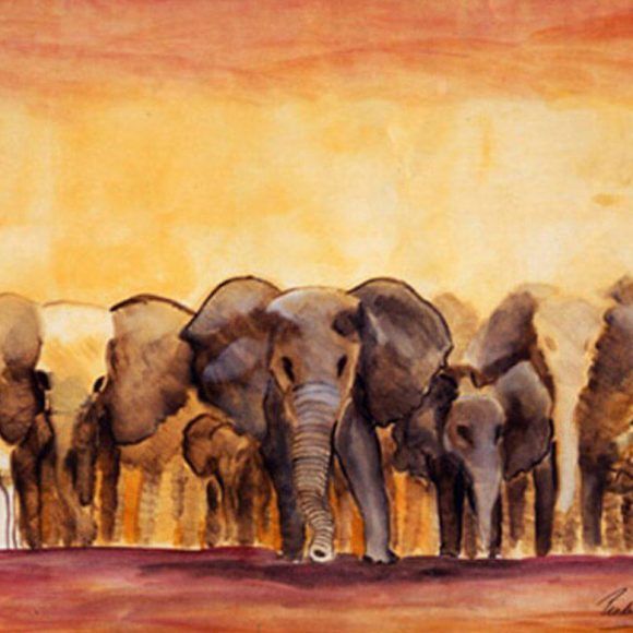 El paso de los Elefantes